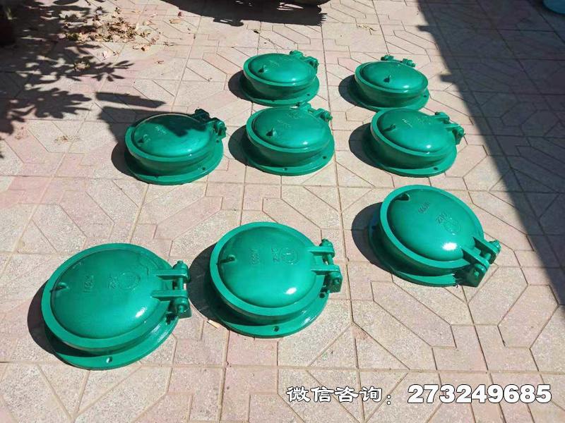 玻璃鋼止水拍門(mén)