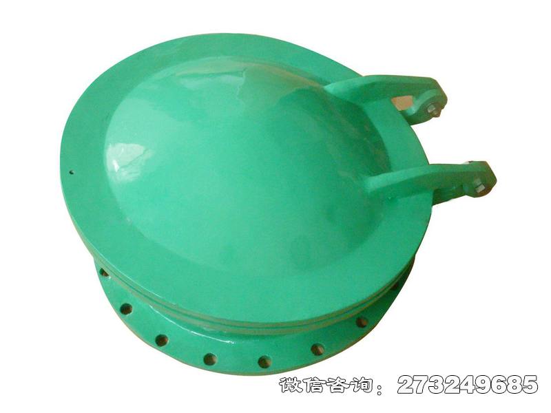 耐腐蝕管道玻璃鋼拍門(mén)