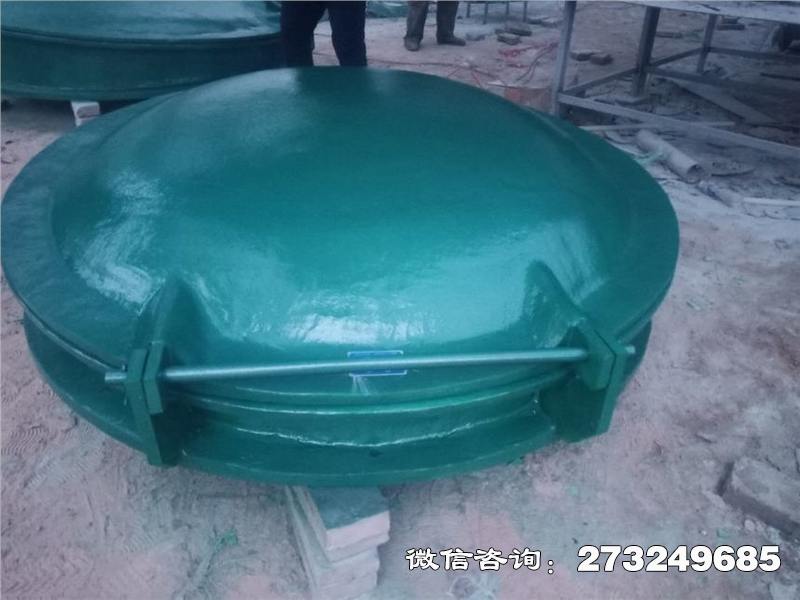 輕質(zhì)玻璃鋼拍門(mén)