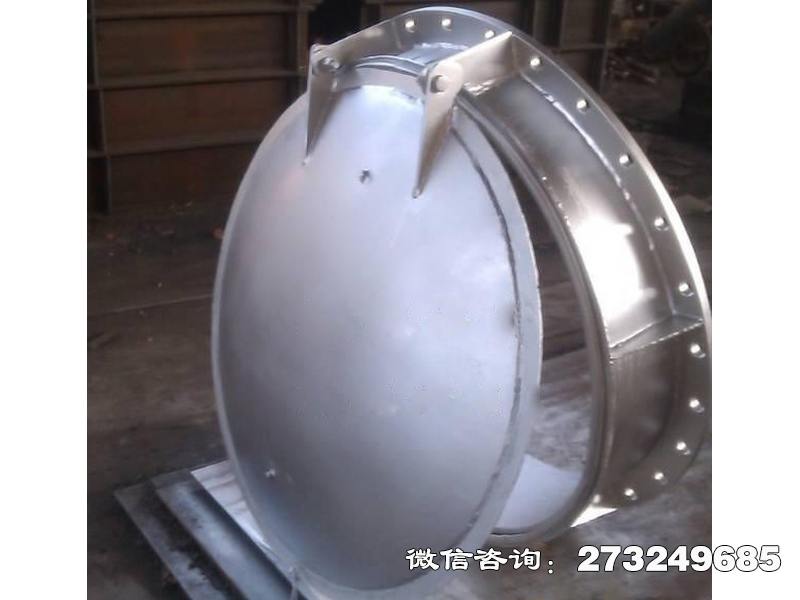 800不銹鋼拍門(mén)