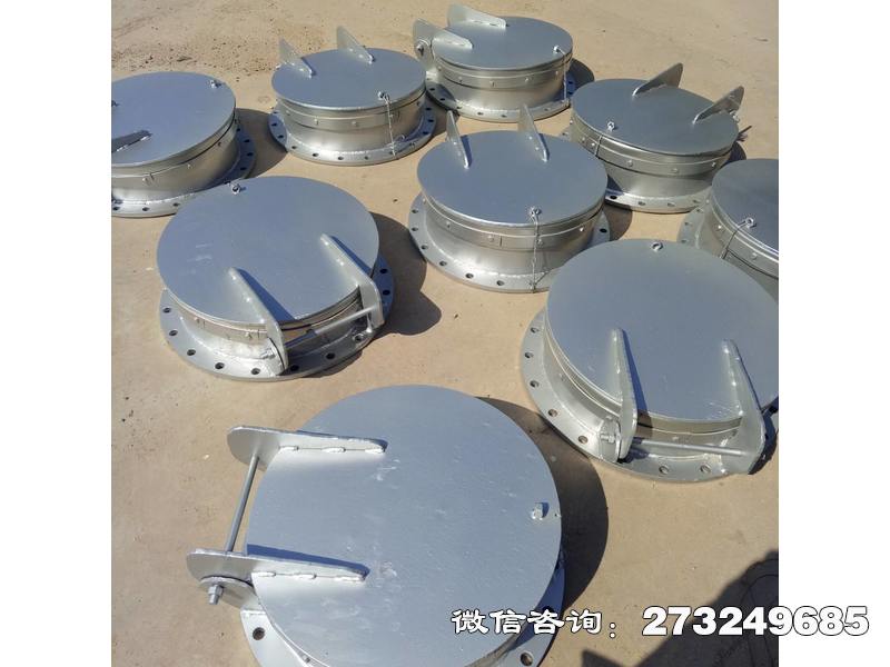 q1000不銹鋼拍門(mén)