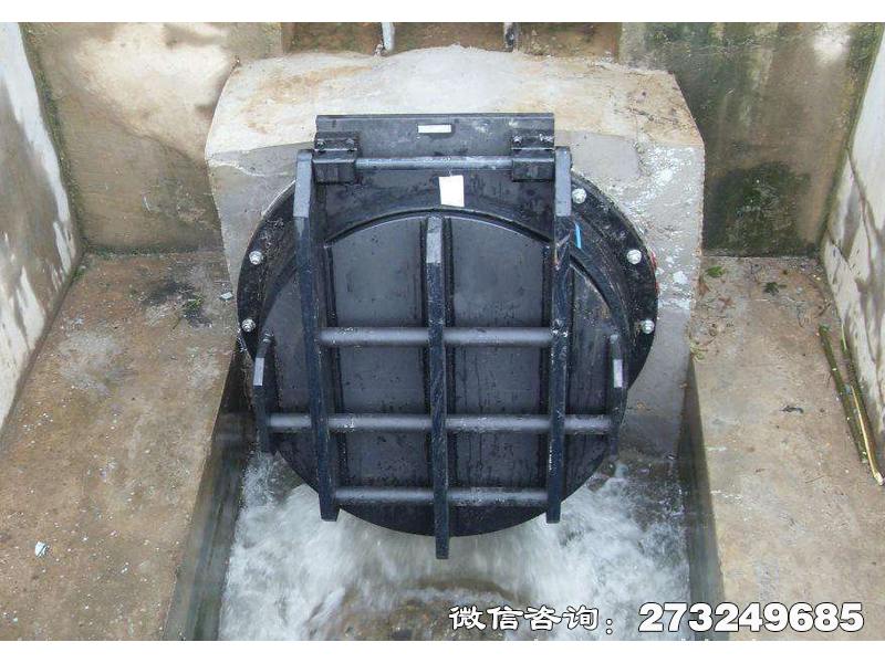 海寧鋼制水渠拍門